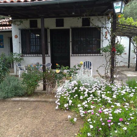 Villa Persefoni House Áfissos Exterior foto